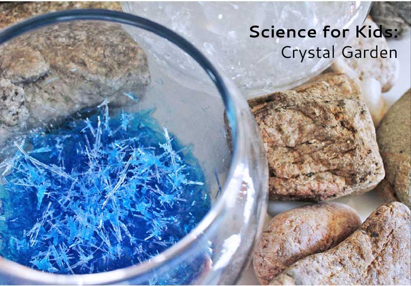 Science for Kids: Crystal Garden