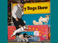 Tricky Dogs Show