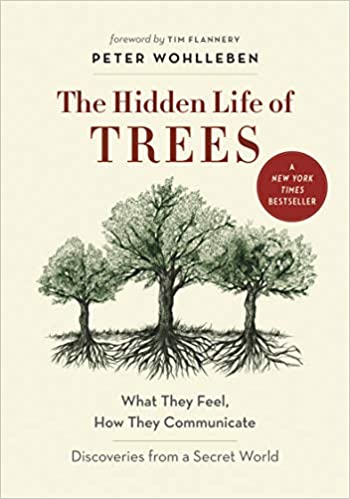 Cover Hidden Life of Trees