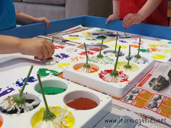 Flower Printing Craft with paint