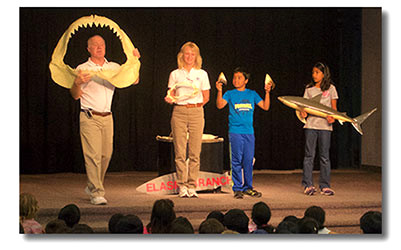 Shark Presentation