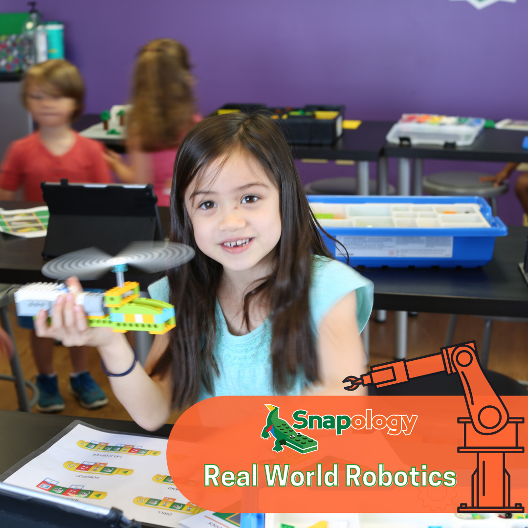 Real World Robotics