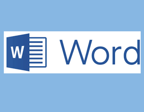 Microsoft Word