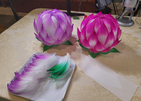 Korean Lotus Flower Craft