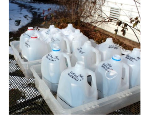 Sowing Seeds in Winter