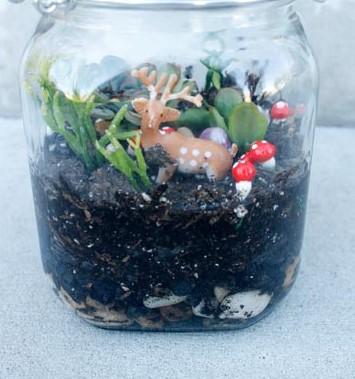 mason jar terrarium