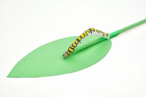 straw caterpillar on green leaf