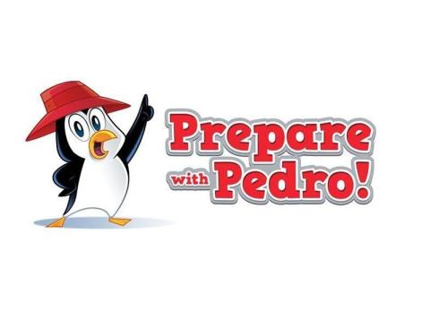 Prepare with Pedro!
