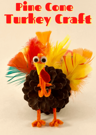 Pine Cone Turkey with feathers