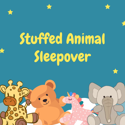 Stuffed animal sleepover