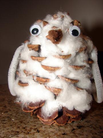 pine cone snowy owl