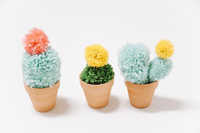 pom pom cactus