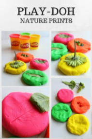 Play doh nature prints