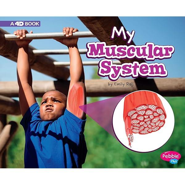My Muscular System by Emily Raij